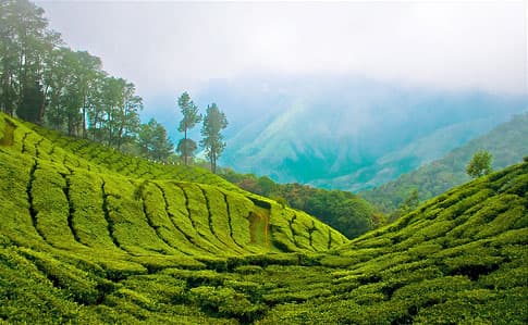 Kerala