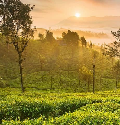 Ooty Holiday Packages