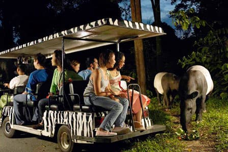 Malaysia & Singapore Packages